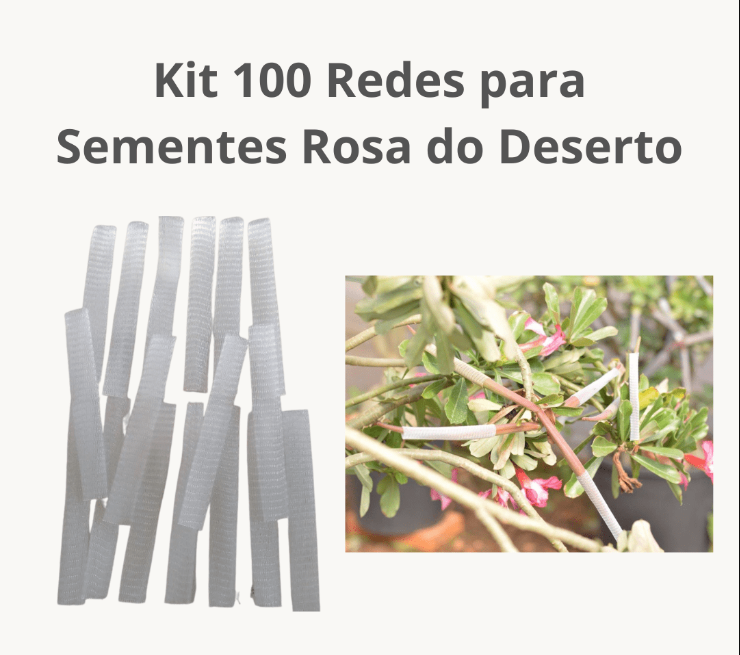 100 Sementes de Rosas do Deserto Kit 100 Redes para Sementes Rosa do Deserto